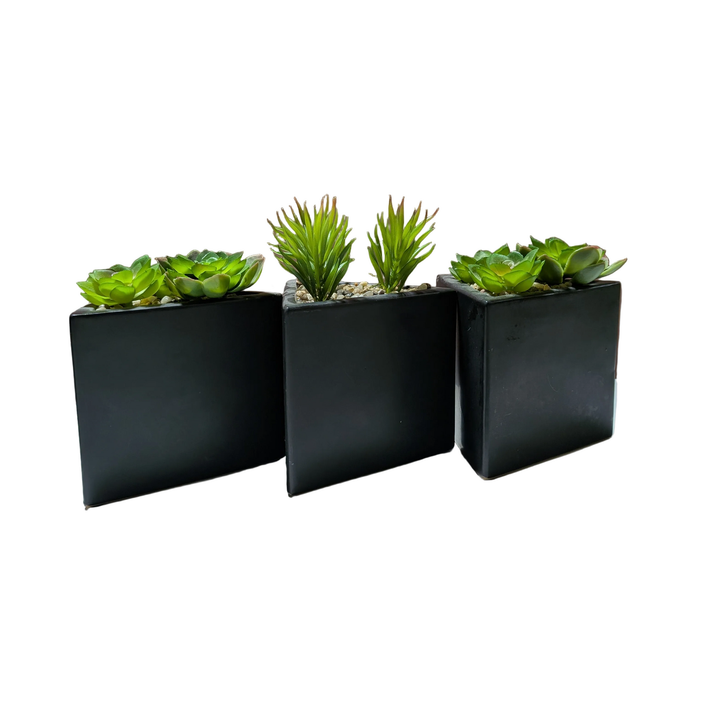 Echeveria Faux Plant W/Triangle Pot -set of  3-OPEN BOX