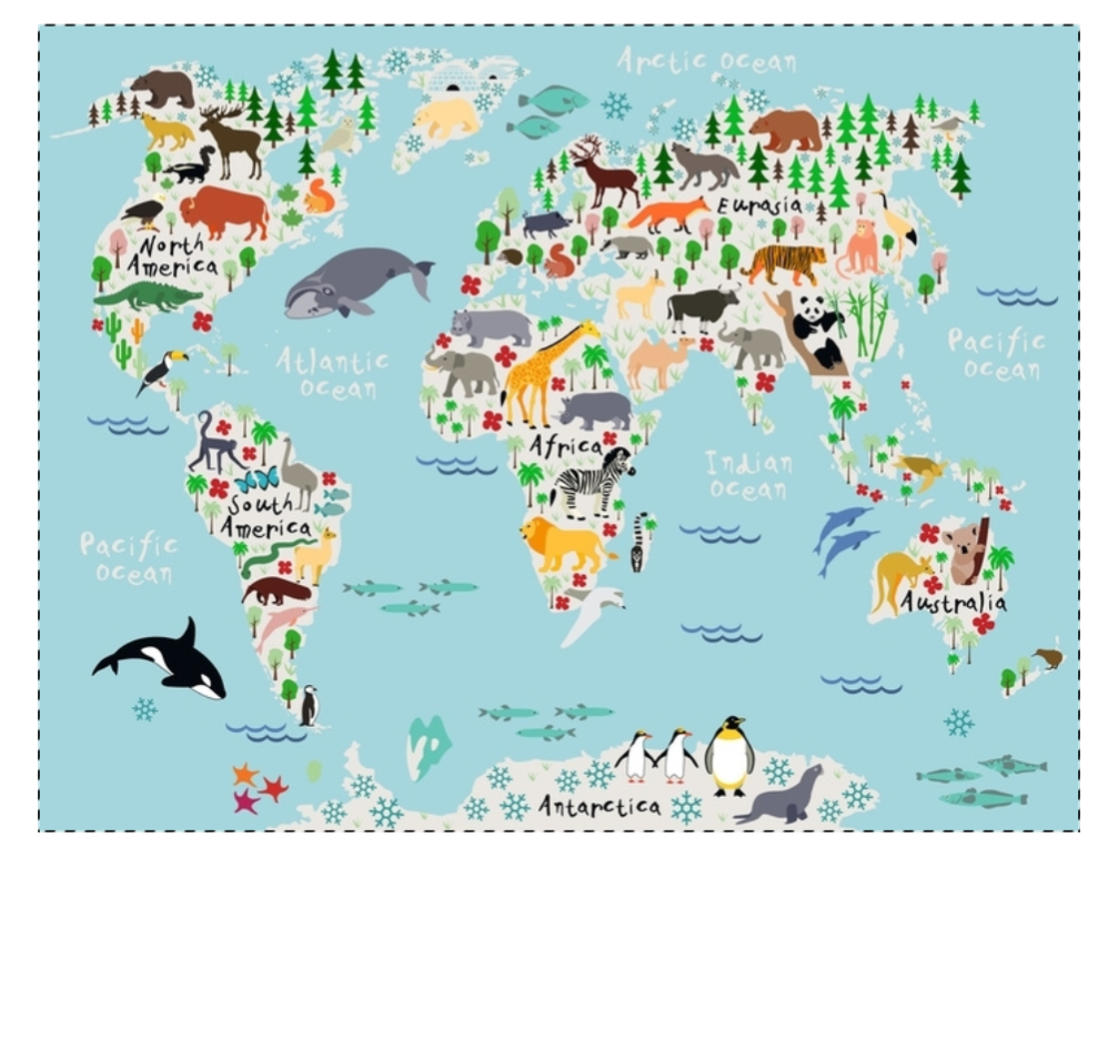 Kids Map of Earth wall art -local pick up only