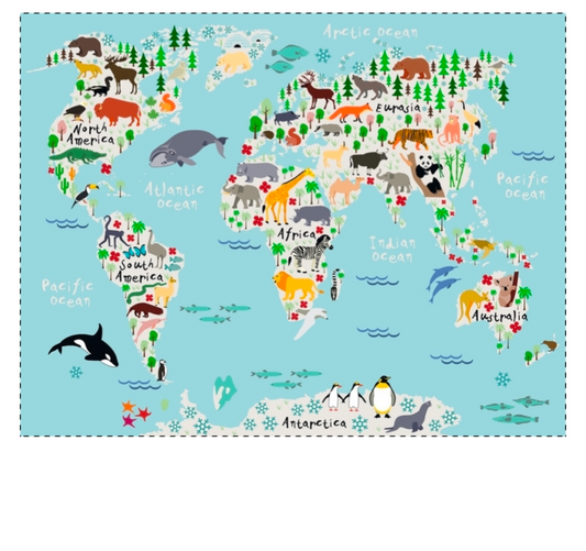 Kids Map of Earth wall art -local pick up only