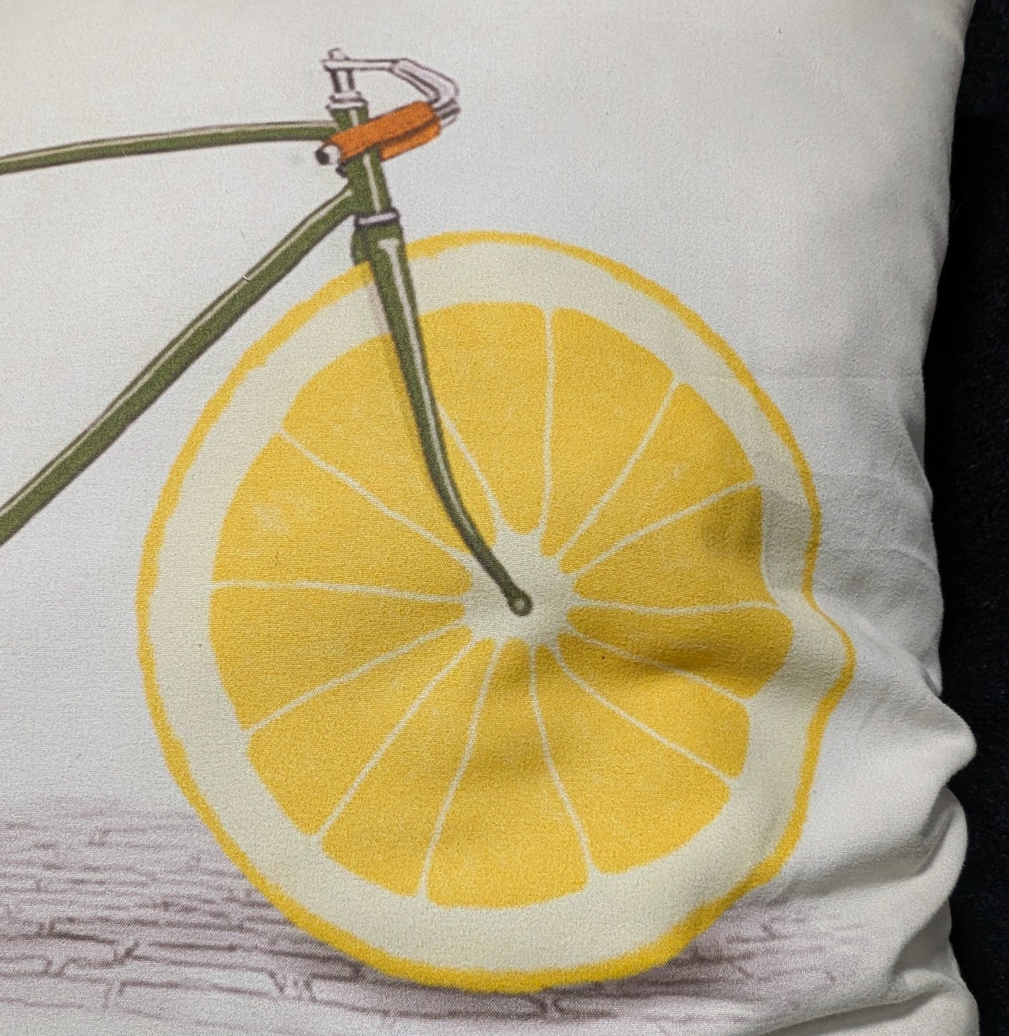 Citrus Cycle Pillow*OPEN BOX