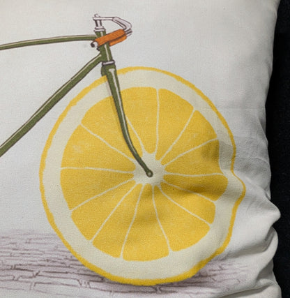 Citrus Cycle Pillow*OPEN BOX