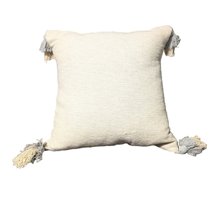 Ivory Bohemian Pillow set of 2 *open Box