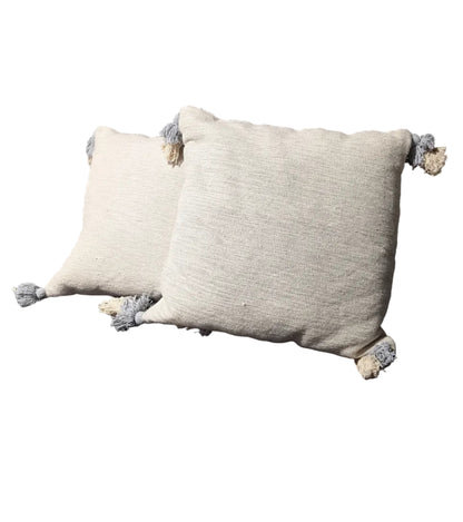 Ivory Bohemian Pillow set of 2 *open Box