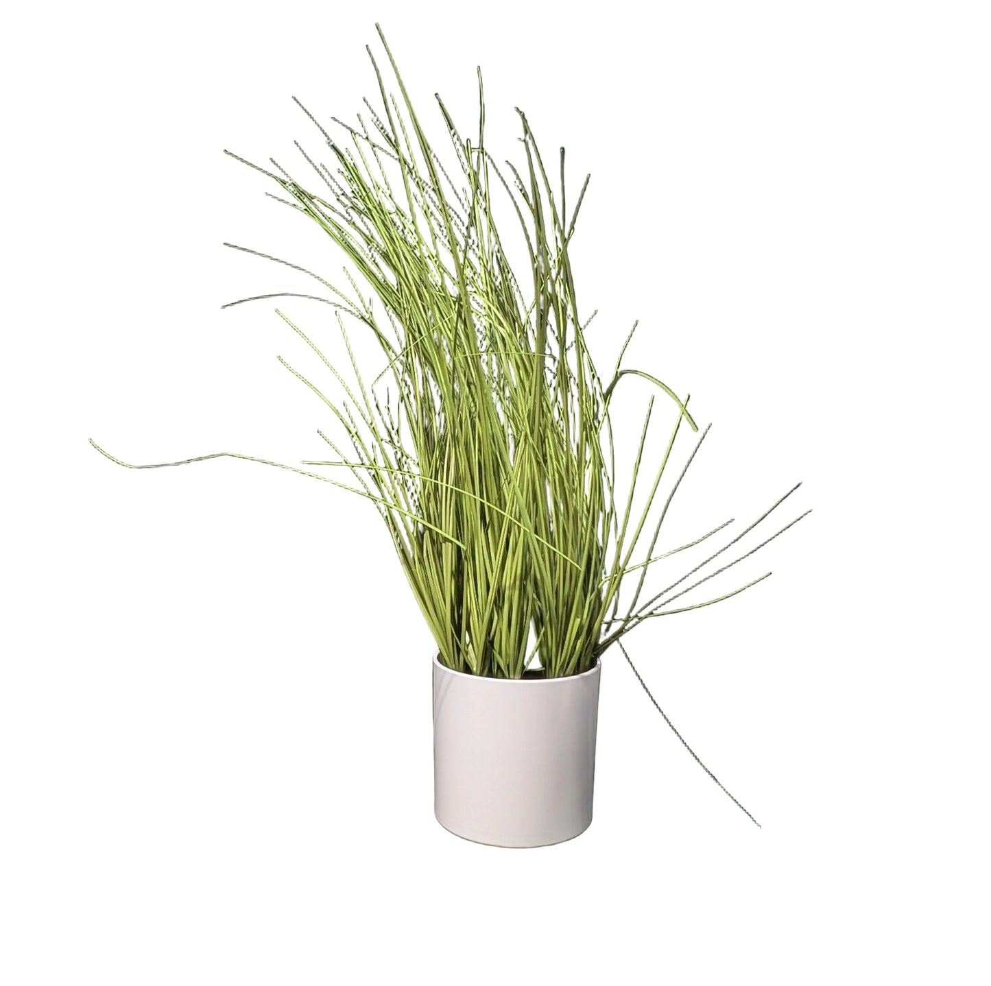 FAUX potted Grass *OPEN BOX