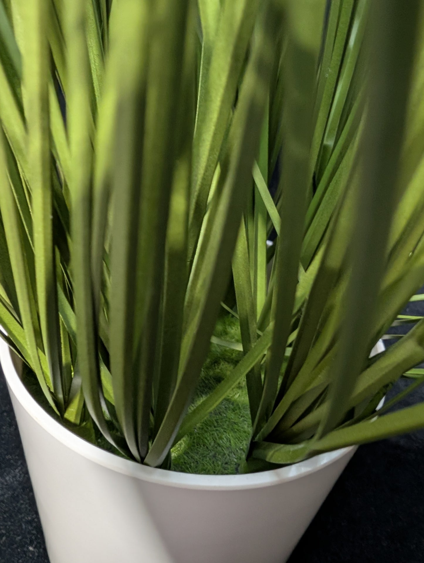 FAUX potted Grass *OPEN BOX