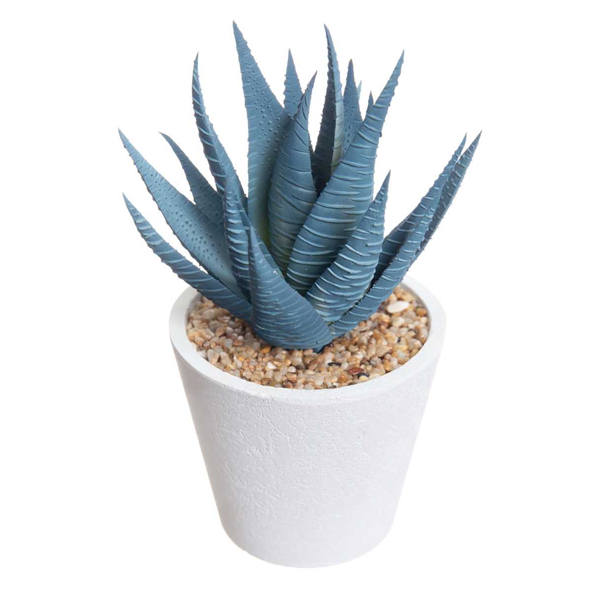 Faux Blue Aloe*OEN BOX