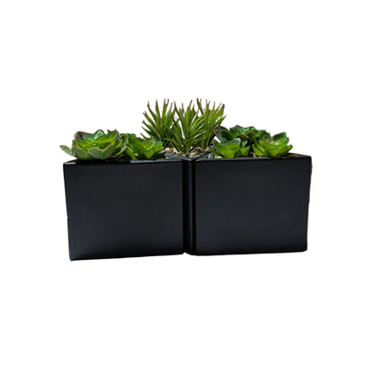 Echeveria Faux Plant W/Triangle Pot -set of  3-OPEN BOX