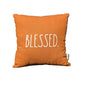 "Blessed" throw pillow *OPEN BOX