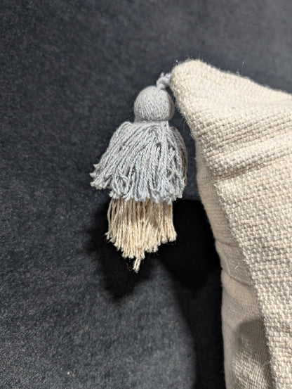 Ivory Bohemian Pillow set of 2 *open Box