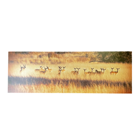 Silhouettes of deer standing in a line on a reflective water surface with a sunset or sunrise in the background.