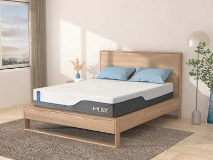 WellFlex Mattress