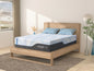 WellFlex ICE Mattress