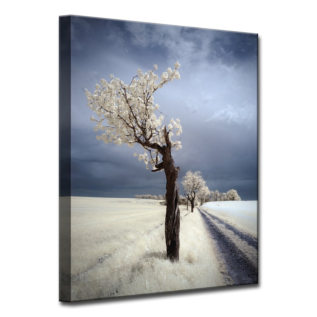 Breathtaking Canvas Wall