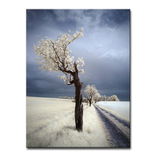 Breathtaking Canvas Wall-30” x 40”
